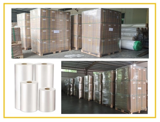 SGS Gloss Lamination Film 20mic Plast EVA phủ sơn sơn nhiệt nóng