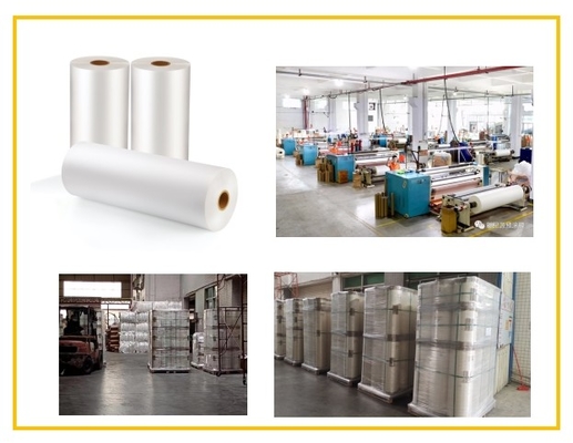 SGS 15 Micron BOPP Bộ phim sơn nhiệt cho bìa sách