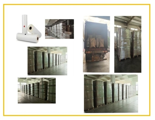 100% Transparency Anti Scratch Film cho ứng dụng sơn 100MM đến 2200MM