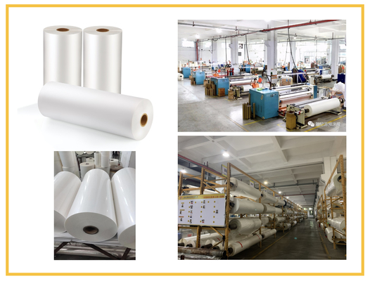 Bảo vệ in ấn Cuộn màng BOPP di động Chứng nhận ISO9001 của SGS