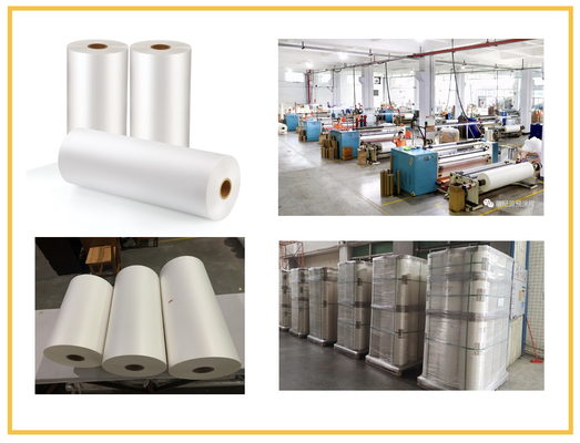 In offset BOPP Matte Lamination Film Bề mặt lớp phủ ép đùn trong suốt