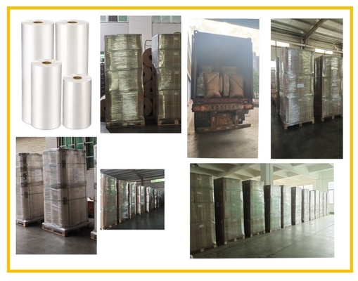 Bộ phim thú cưng cuộn Mylar Polyester Film Multiple Extrusion Processing Type