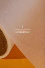 Moisture Proof Hot Lamination Film Hiệu quả cao Độ bám dính mạnh mẽ